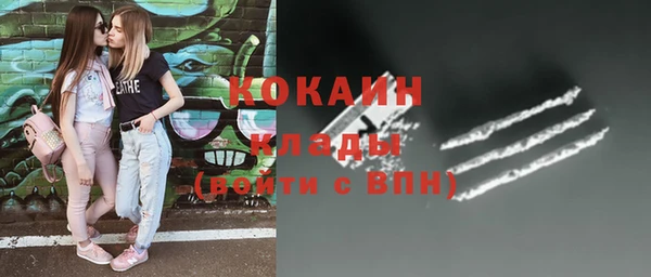 соль ск Абаза